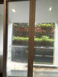 Alexis (D3), Apartment #513039451